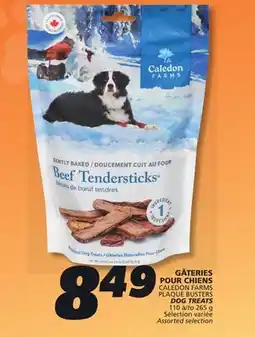 IGA CALEDON FARMS PLAQUE BUSTERS DOG TREATS offer