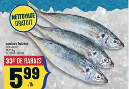 Marché Adonis SARDINES FRAÎCHES | FRESH SARDINES offer
