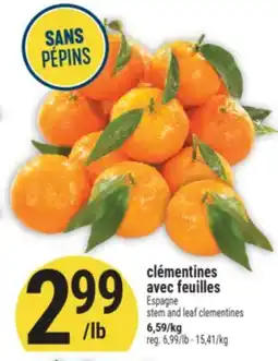 Marché Adonis CLÉMENTINES AVEC FEUILLES | STEM AND LEAF CLEMENTINES offer