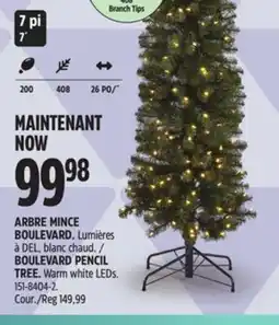 Canadian Tire NOMA BOULEVARD PENCIL TREE offer