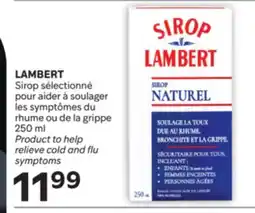 Brunet LAMBERT Sirop sélectionné pour aider à soulager les symptômes du rhume ou de la grippe offer
