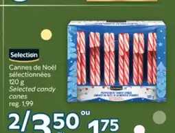 Brunet Selection Cannes de Noël sélectionnées offer