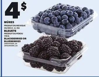 Provigo MÛRES OU BLEUETS, 170 G offer