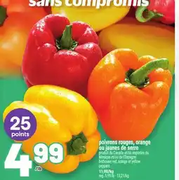 Metro POIVRONS ROUGES, ORANGE OU JAUNES DE SERRE | HOTHOUSE RED, ORANGE OR YELLOW PEPPERS offer
