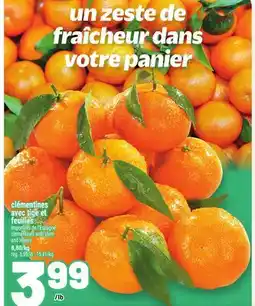 Metro CLÉMENTINES AVEC TIGE ET FEUILLES | CLEMENTINES WITH STEM AND LEAVES offer