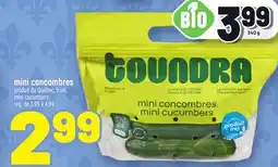 Metro MINI CONCOMBRES | MINI CUCUMBERS offer