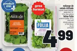 Metro MÉLANGE DE SALADE ATTITUDE OU LAITUE FOLIA | ATTITUDE SALAD MIX OR FOLIA LETTUCE offer