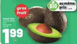 Metro AVOCAT HASS | HASS AVOCADO offer