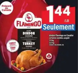 Maxi Flamingo Young Turkey offer