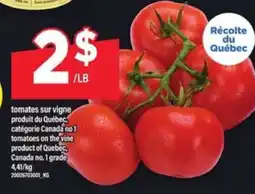 Maxi TOMATES SUR VIGNE offer