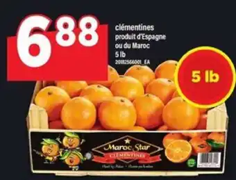 Maxi CLEMENTINES offer