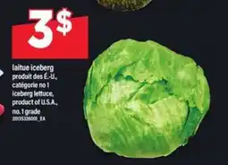 Maxi laitue Iceberg offer