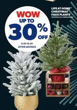 Real Canadian Superstore LIFE AT HOME CHRISTMAS FAUX PLANTS offer