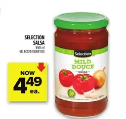Metro SELECTION SALSA offer