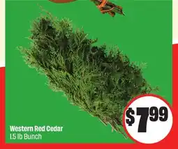 Chalo FreshCo Western Red Cedar 1.5 lb Bunch offer