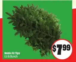 Chalo FreshCo Noble Fir Tips 1.5 lb Bunch offer