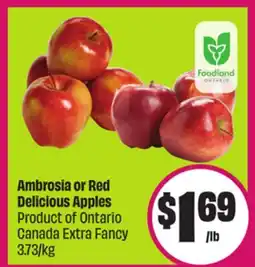 Chalo FreshCo Ambrosia or Red Delicious Apples Product of Ontario Canada Extra Fancy 3.73/kg offer