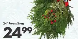 Longo's 24˝ Forest Swag offer