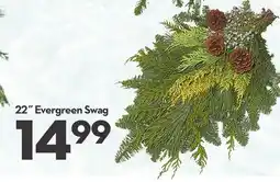 Longo's 22˝ Evergreen Swag offer