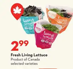 Longo's Fresh Living Lettuce offer