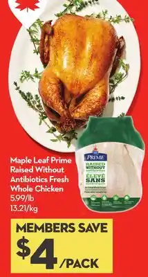 Longo's Maple Leaf Prime Raised Without Antibiotics Fresh Whole Chicken offer