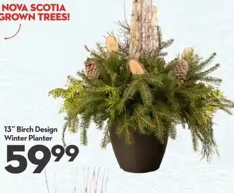 Longo's 13˝ Birch Design Winter Planter offer