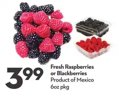 Longo's Fresh Raspberries or Blackberries offer