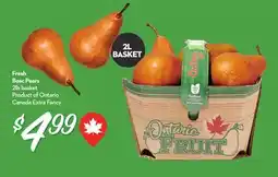 Longo's Fresh Bosc Pears offer