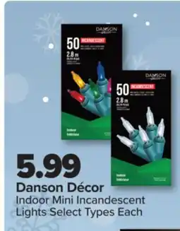 PharmaChoice Danson Décor Indoor Mini Incandescent Lights offer