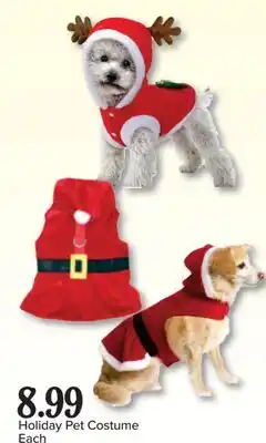 PharmaChoice Holiday Pet Costume offer