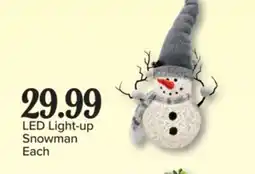 PharmaChoice LED Light-up Snowman offer