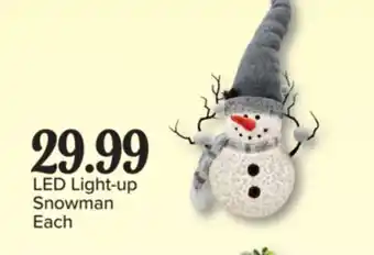 PharmaChoice LED Light-up Snowman offer