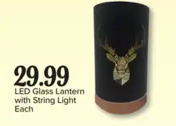 PharmaChoice LED Glass Lantern with String Light offer