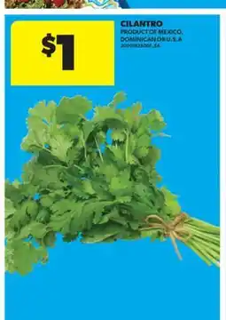 Real Canadian Superstore CILANTRO offer