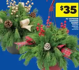 Real Canadian Superstore PC OUTDOOR HANGING BASKET, 10 INCH offer