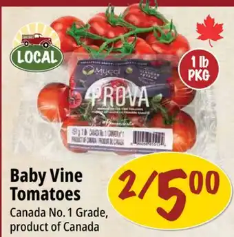 Farm Boy Baby Vine Tomatoes offer
