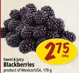 Farm Boy Sweet & Juicy Blackberries offer