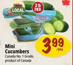 Farm Boy Mini Cucumbers offer