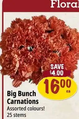 Farm Boy Big Bunch Carnations offer