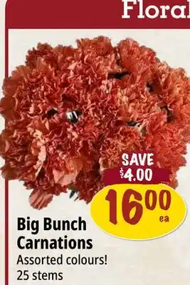 Farm Boy Big Bunch Carnations offer