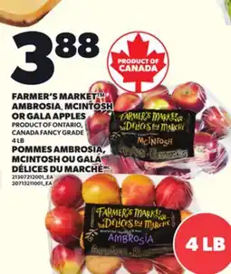 Independent Grocer FARMER'S MARKET AMBROSIA, MCINTOSH OR GALA APPLES PRODUCT OF ONTARIO, CANADA FANCY GRADE, 4 LB offer