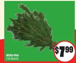 FreshCo White Pine 2 lb Bunch offer