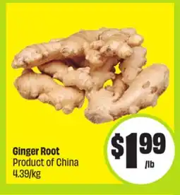 FreshCo Ginger Root Product of China 4.39/kg offer