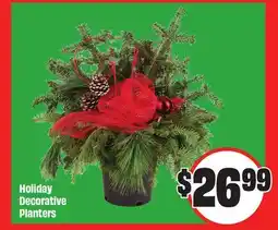 FreshCo Holiday Decorative Planters offer