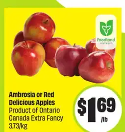FreshCo Ambrosia or Red Delicious Apples Product of Ontario Canada Extra Fancy offer
