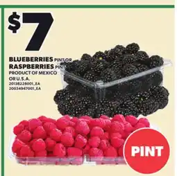 Loblaws BLUEBERRIES PINT OR RASPBERRIES PINT offer
