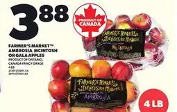 Loblaws FARMER'S MARKET AMBROSIA MCINTOSH OR GALA APPLES, 4 LB offer