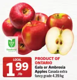 Foodland Gala or Ambrosia Apples offer
