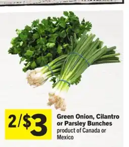 Foodland Green Onion, Cilantro or Parsley Bunches offer
