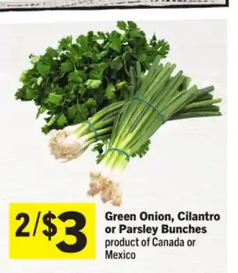 Foodland Green Onion, Cilantro or Parsley Bunches offer